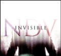 Nick D'Virgillio - Invisible